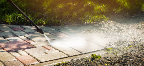 Best Animal Enclosure Cleaning  in Saranap, CA